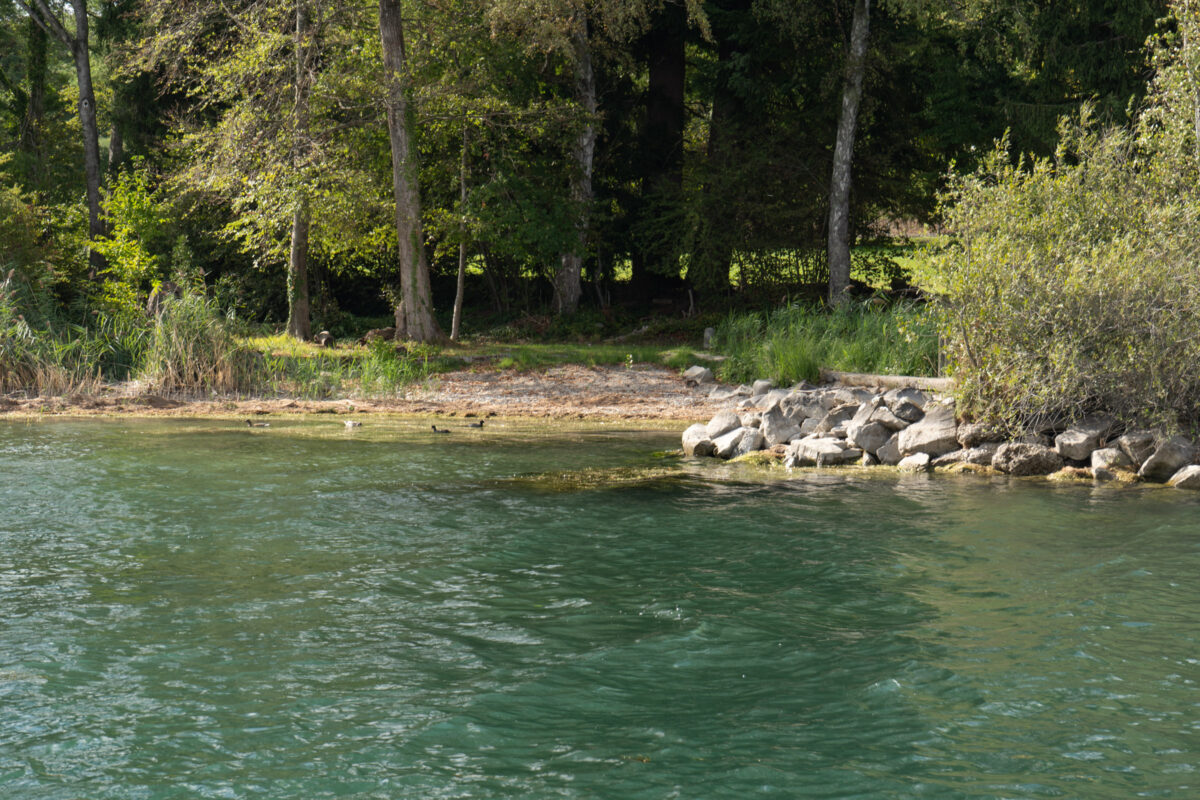 Zürichsee 2