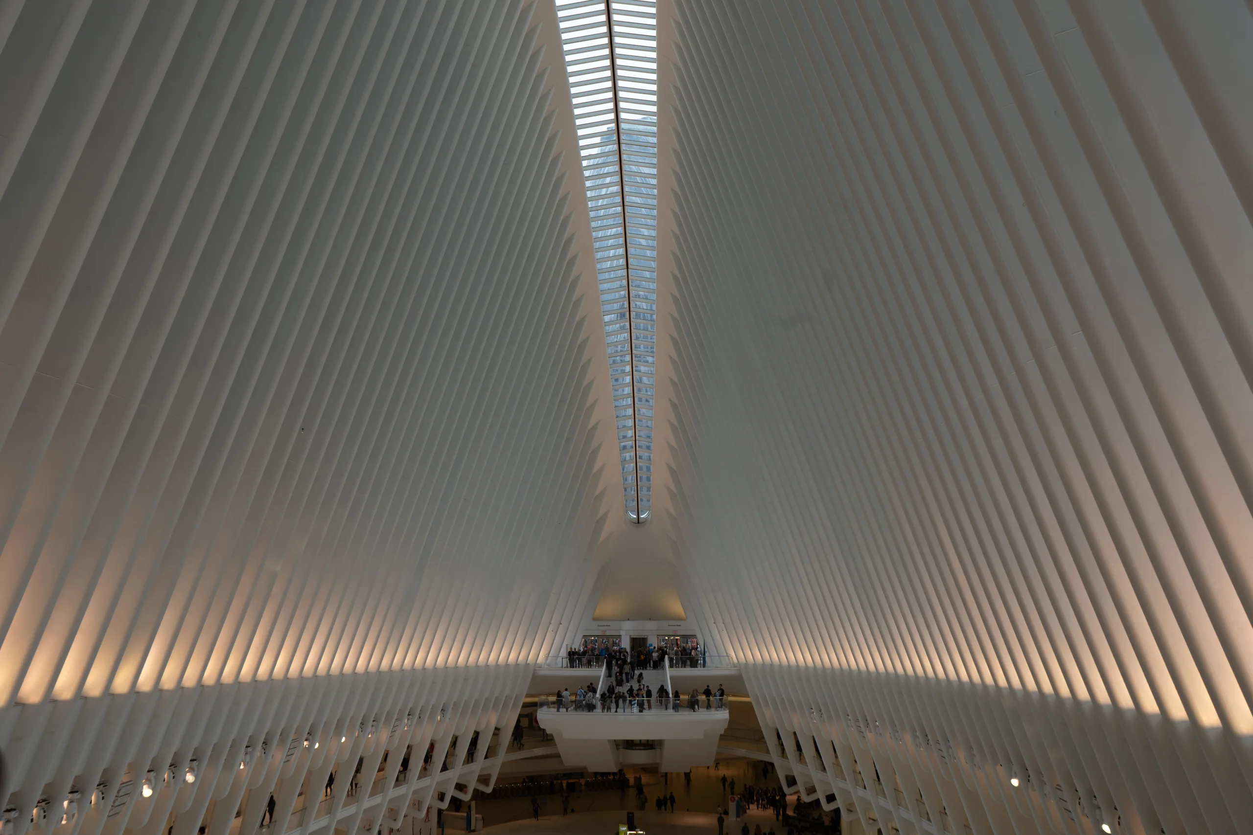 Weisse Rippenkonstruktion im Inneren des Oculus in New York