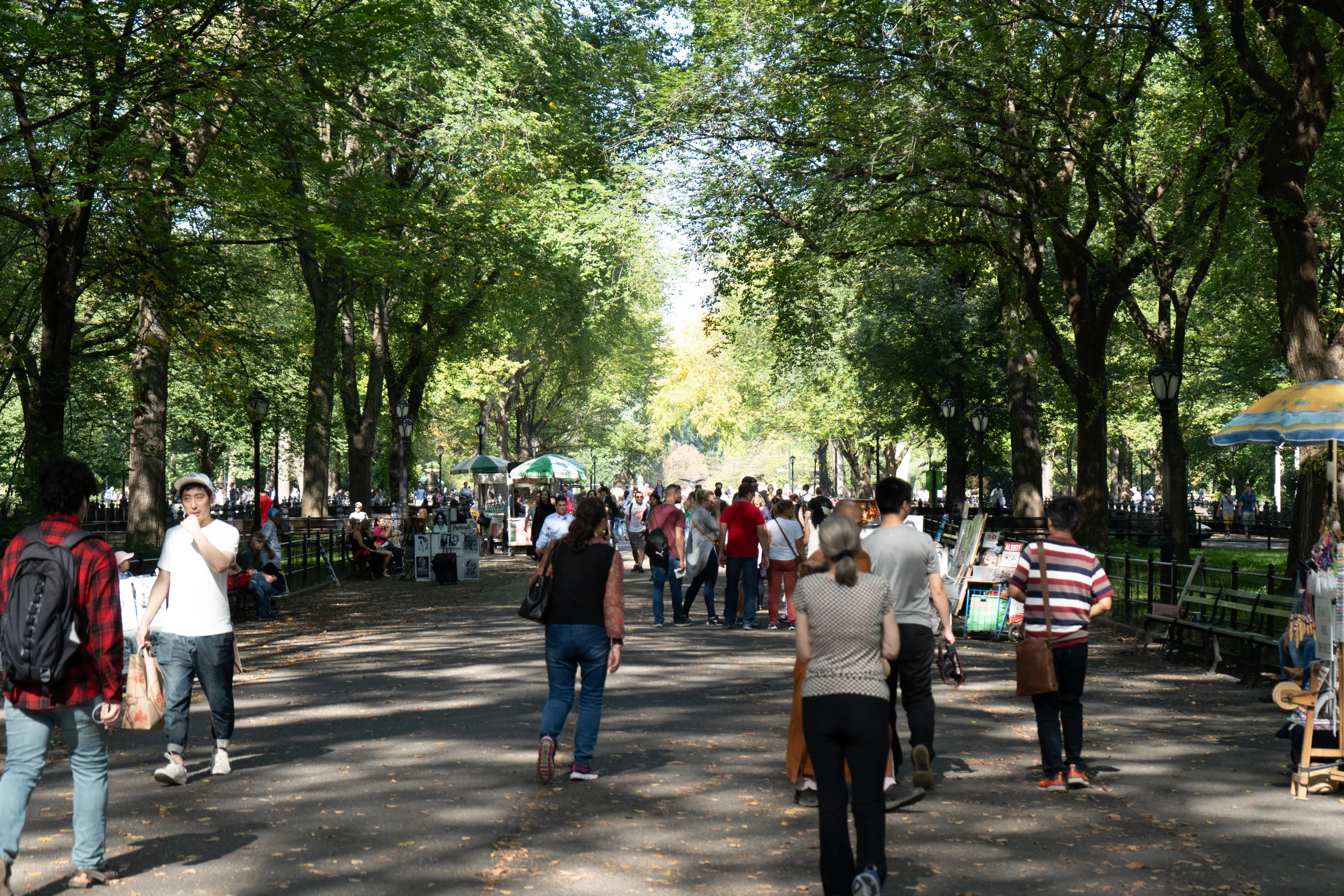 Spaziergänger auf einer von Bäumen gesäumten Allee im Central Park