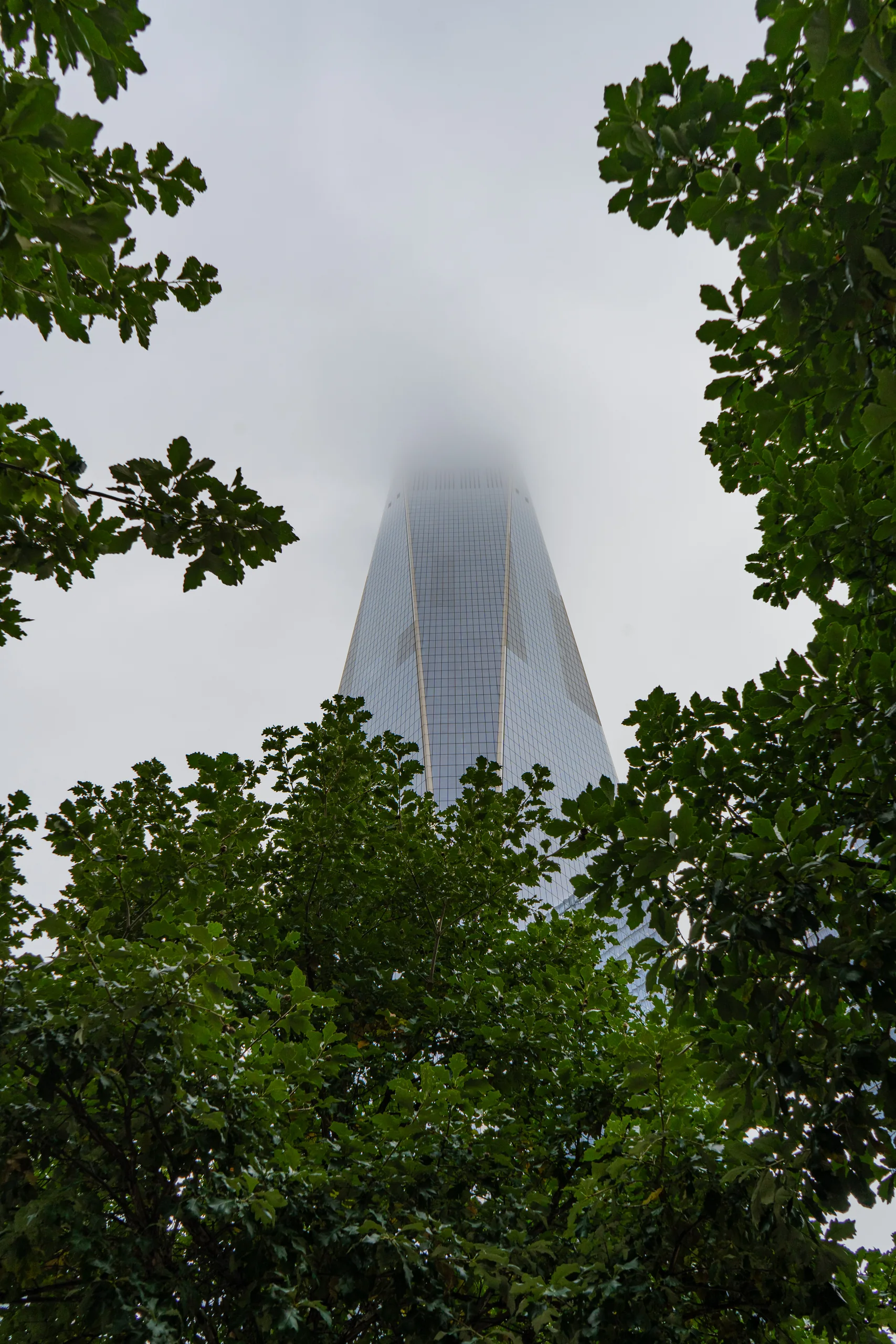 Das One World Trade Center verschwindet im Nebel über Lower Manhattan